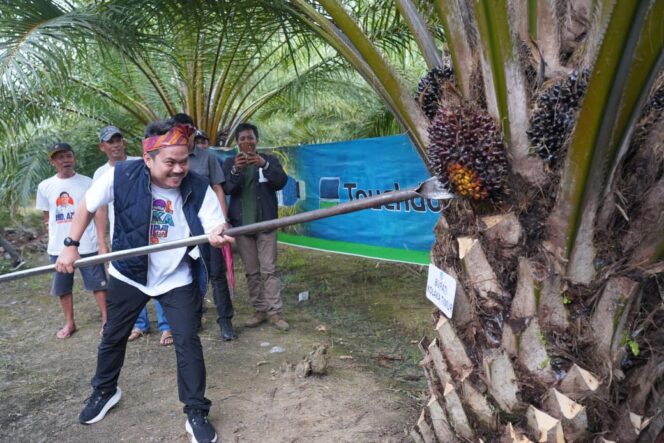 
 Bupati Koltim Panen Raya Sawit di Lambandia Sekaligus Bangun Silaturahmi, Abd Azis Tampung Aspirasi Masyarakat