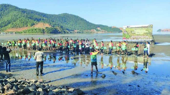 
 PT Ceria Gaungkan Net Zero Emission Melalui Konservasi Mangrove dan Green FuN