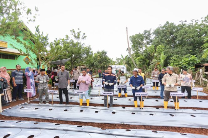 
 ANTAM dan USN Kolaka Gagas Program Konasara di Pelambua