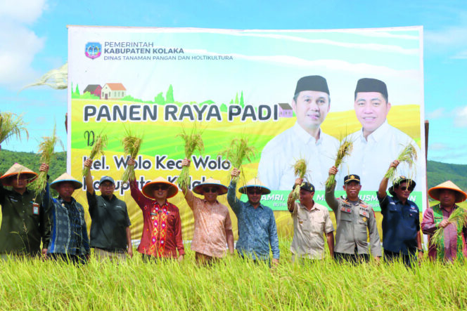 
 Bupati Kolaka, H.Amri: Beras Kolaka Harus Punya Kemasan Premium