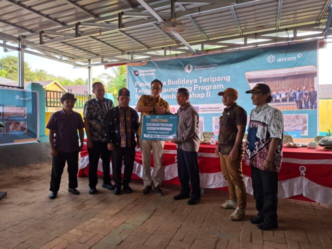 
 Didukung PT Antam, Masyarakat Tambea Panen 1 Ton Teripang Budidaya