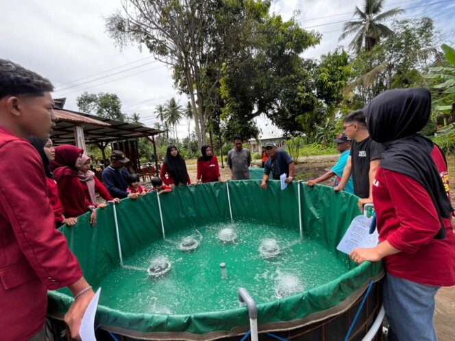 
 Dorong Produktivitas Ikan Lele dan Nila di Desa Unamendaa,  BEM UMK Gelar Pelatihan Teknik Budidaya Bioflok