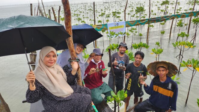 
 Prodi Ilmu Perikanan PPs UHO Kembangkan Demplot Silvocrab Berbasis Konservasi Mangrove