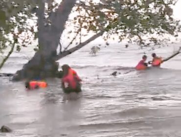 Ketgam // Penumpang KM Maligano Star Menyelamatkan Diri Ke Hutan Bakau. foto Ahmad Kolaka Pos