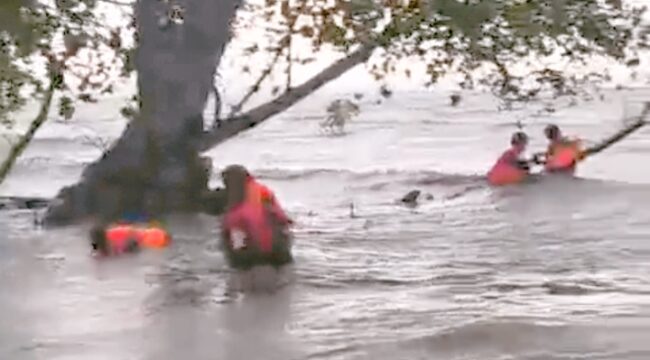 Ketgam // Penumpang KM Maligano Star Menyelamatkan Diri Ke Hutan Bakau. foto Ahmad Kolaka Pos