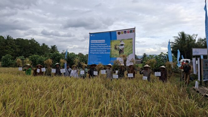 
 Dukung Asta Cita Presiden dan SDGs Ketahanan Pangan, PT Vale Panen Bersama Demplot Padi Berkelanjutan di Kolaka 