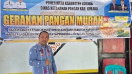 Kepala Dinas Ketahanan Pangan Kolaka, Abbas, saat diwawancarai di Kolaka