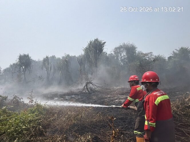 
 IPIP Intensifkan Penanganan Karhutla di Sekitar Kawasan Industri